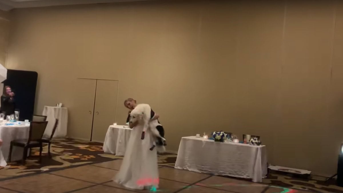 Matrimonio da favola: L'addestratrice di cani balla con il suo amico a quattro zampe