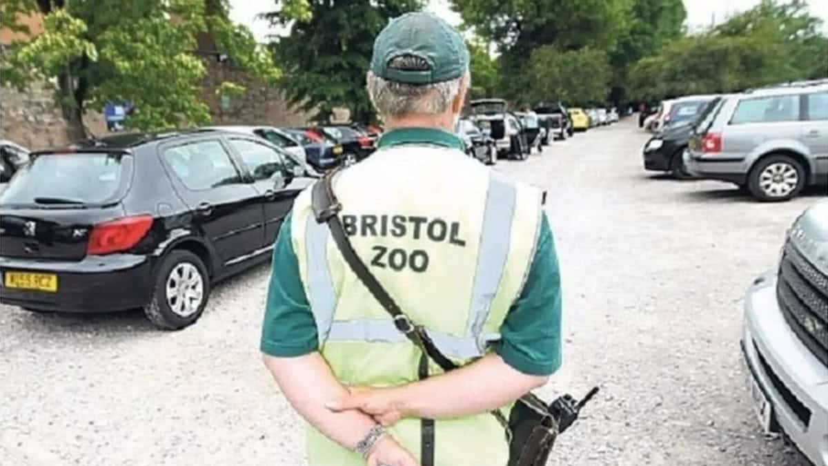 La leggenda del parcheggiatore abusivo del Bristol Zoo