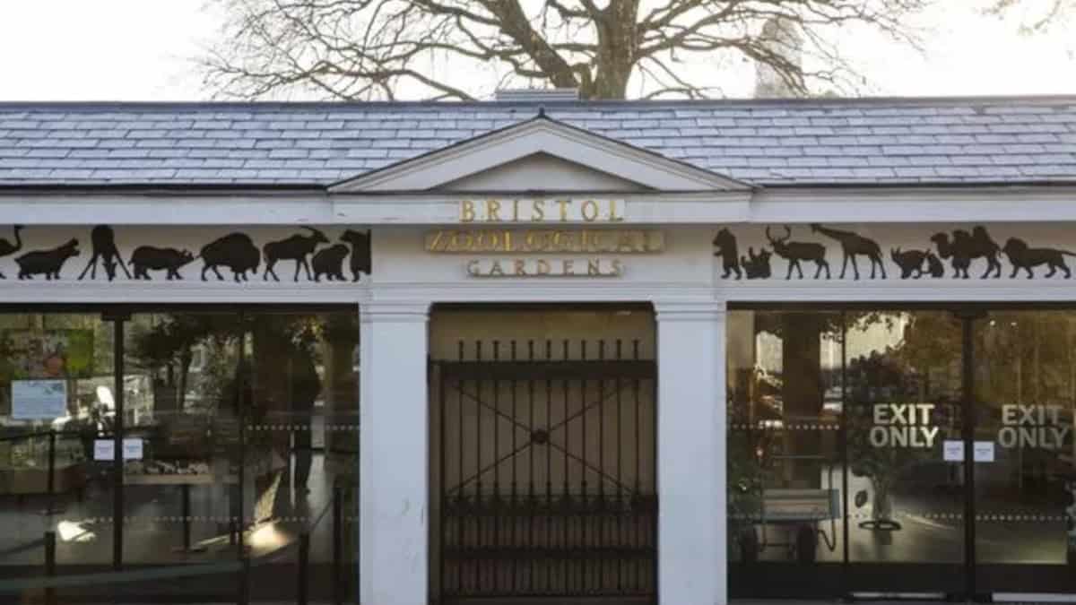 La leggenda del parcheggiatore abusivo del Bristol Zoo