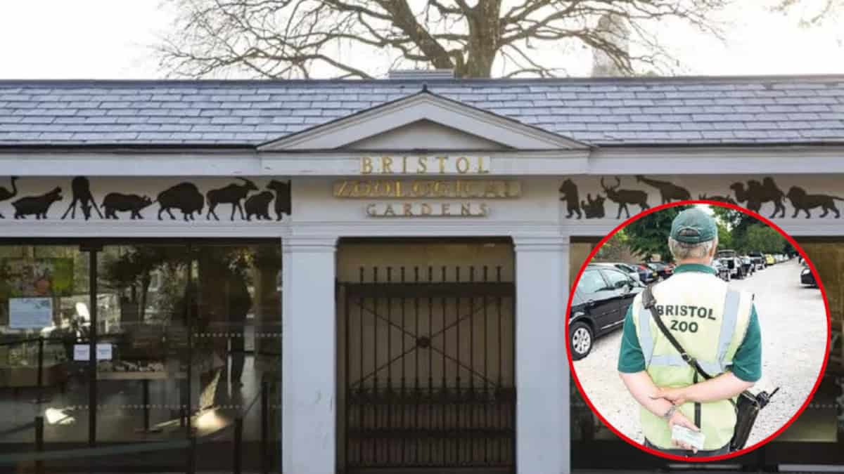 La leggenda del parcheggiatore abusivo del Bristol Zoo