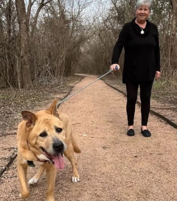 Una donna adotta un cane anziano che ha trascorso oltre 700 giorni in un rifugio